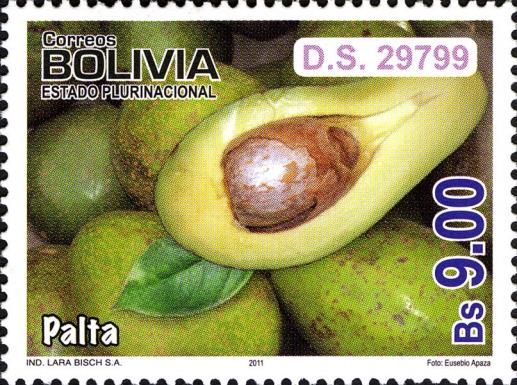 Avocado