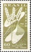 Ears of Wheat