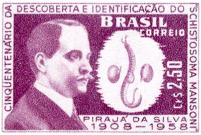 Pirajá da Silva (1873-1961) and Schistosoma mansoni (fluke)
