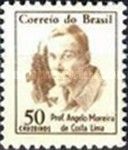 Professor Angelo Moreira da Costa Lima