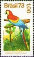 Scarlet Macaw (Ara macao) and Copernicia cerifera