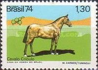 Kriolen Horse (Equus ferus caballus)