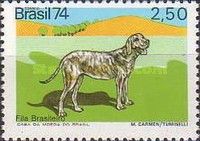 Fila Brasileiro (Canis lupus familiaris)