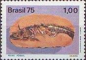 Fossil Fish / Ceara