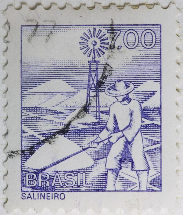 Salineiro - Salt Worker