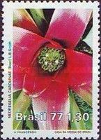 Environment Protection - Neoregelia carolinae