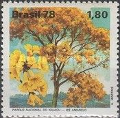 Yellow Ipe