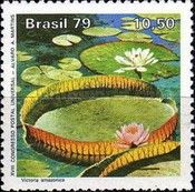Amazônia National Park - Victoria