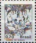 Woman Breaking Babacu Chestnuts