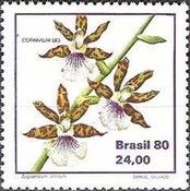 Zygopetalum crinitum