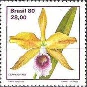Laelia tenebrosa