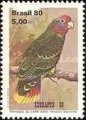 Red-tailed Parrot (Amazona brasiliensis)