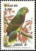 Vinaceous-breasted Parrot (Amazona vinacea)