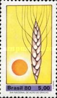 Sun and Cob
