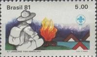 Scout Sitting by Camp Fire