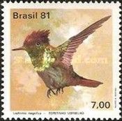 Frilled Coquette (Lophornis magnifica)