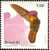 Ruby-topaz Hummingbird (Chrysolampis mosquitus)