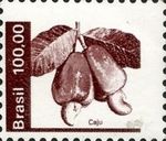 Caju - Cashew Nuts