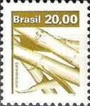 Sugar Cane