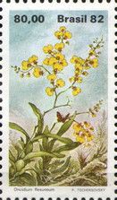 Oncidium flexuosum
