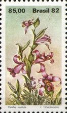 Cleistes revoluta