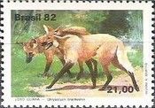 Maned Wolf (Chrysocyon brachyurus)