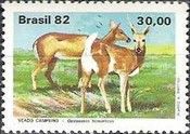 Pampas deer (Ozotoceros bezoarticus)