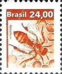 Apicultura - Apiculture