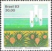 Genetic Improvement, Pineappele