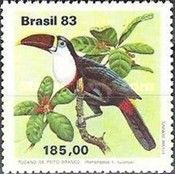 White-throated Toucan (Ramphastos tucanus)