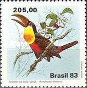 Green-billed Toucan (Ramphastos dicolorus)