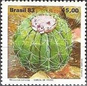 Coroa-de-frade (Melocactus bahiensis)
