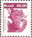 Brazil Nuts