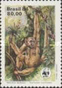 Southern Muriqui (Brachyteles arachnoides)