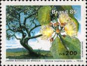 Inauguration of the Botanical Garden-(Caryocar brasiliense)