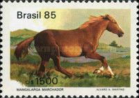 Mangalarga Pacer (Equus ferus caballus)