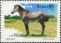 Marajoara (Equus olin caballus)
