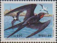 Magnificent Frigatebird (Fregata magnificens)