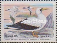 Masked Booby (Sula dactylatra), Red-billed Tropicbird