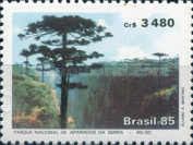 National Park Aparados da Serra - SC