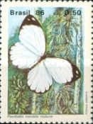 (Pierriballia mandela molione