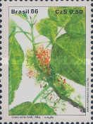 Urera mitis