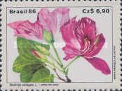 Bauhinia variegata