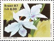Laelia lobata