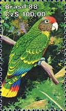 Red-tailed Parrot (Amazona brasiliensis)