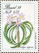 Brazilian Flora Preservation - Worsleya rayneri