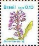Dichorisandra sp.
