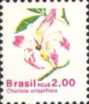 Chorisia crispiflora