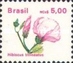 Hibiscus trilineatus