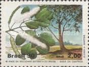 40 Years Botanical Society of Brazil